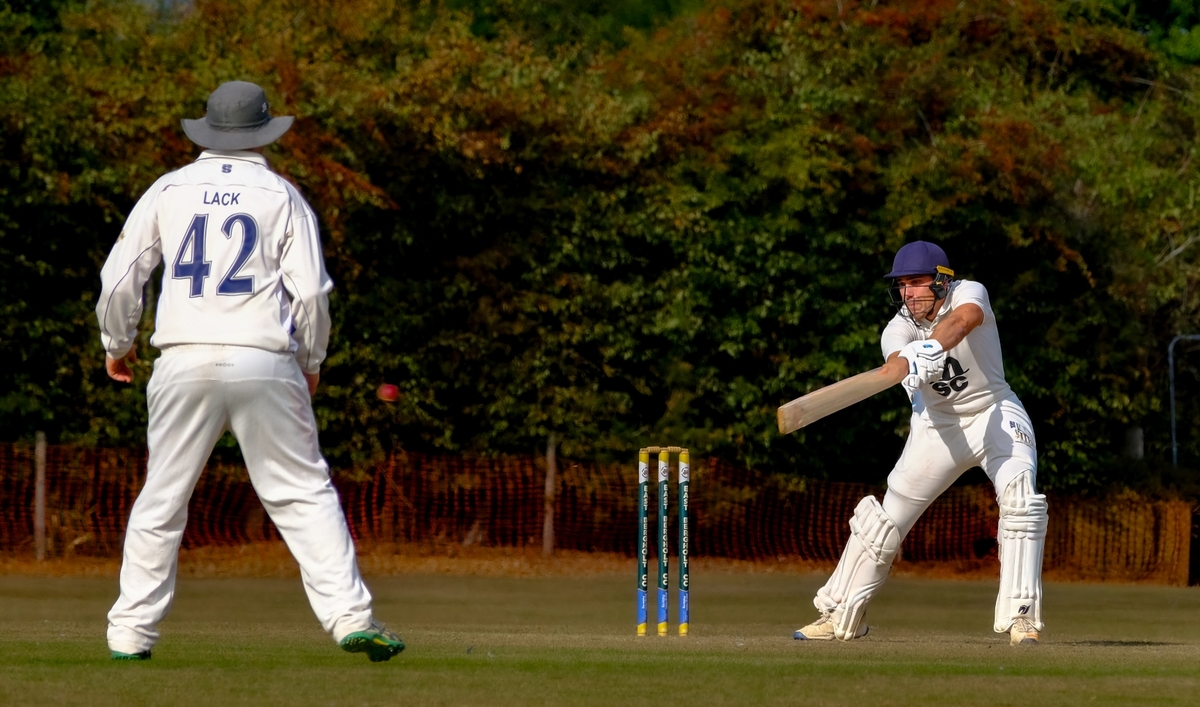 Willow on Leather - Tim Stott